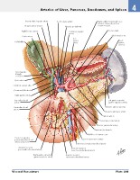 Frank H. Netter, MD - Atlas of Human Anatomy (6th ed ) 2014, page 320